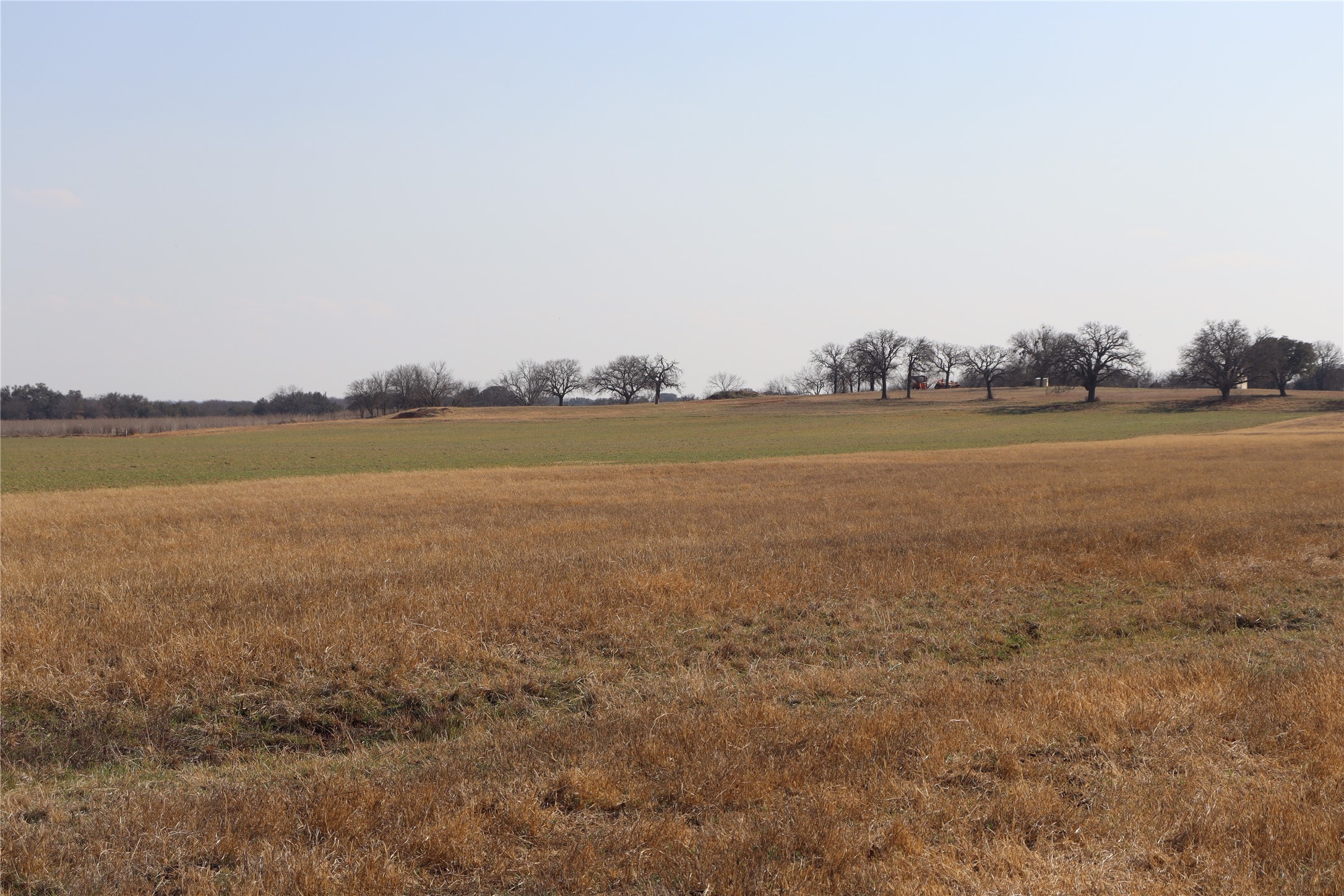 965 Cr 415 Comanche TX 76442