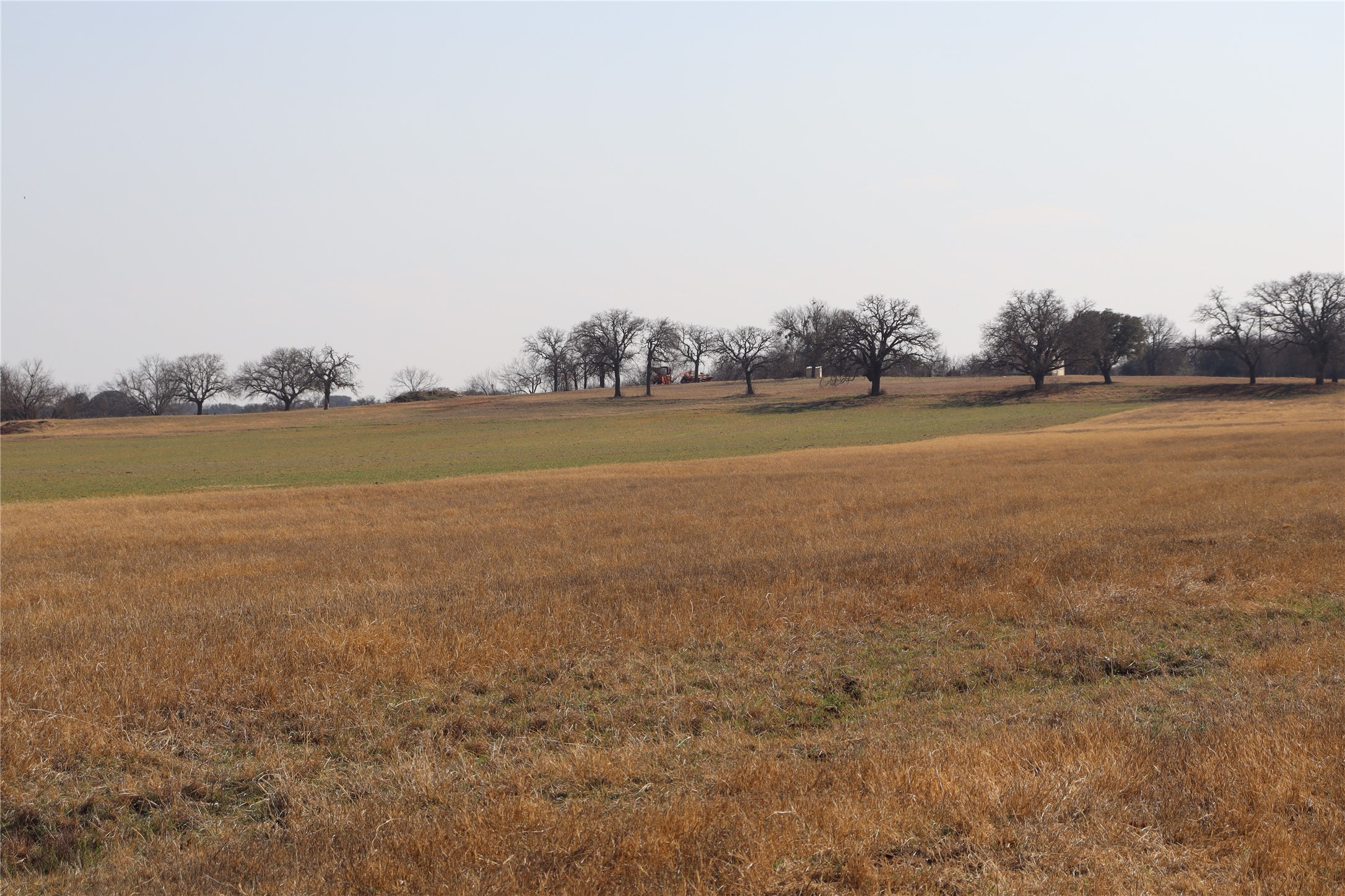 965 Cr 415 Comanche TX 76442