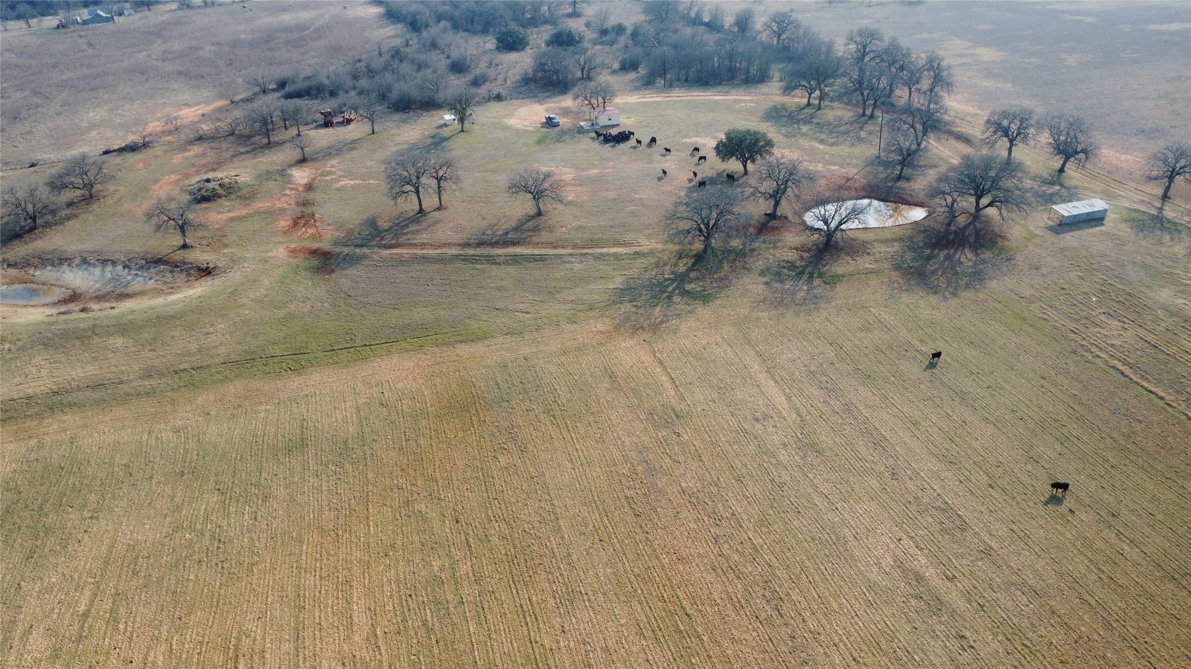 965 Cr 415 Comanche TX 76442