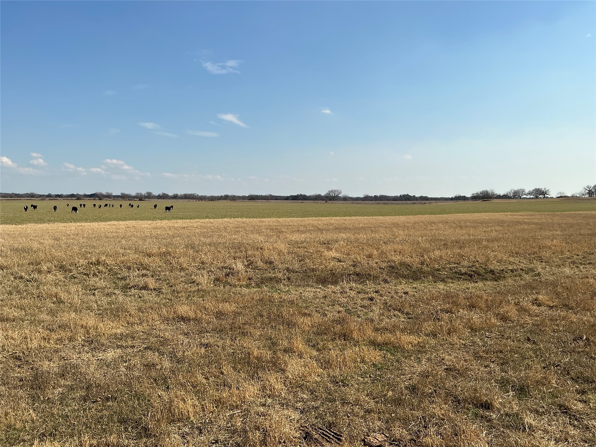 965 Cr 415 Comanche TX 76442