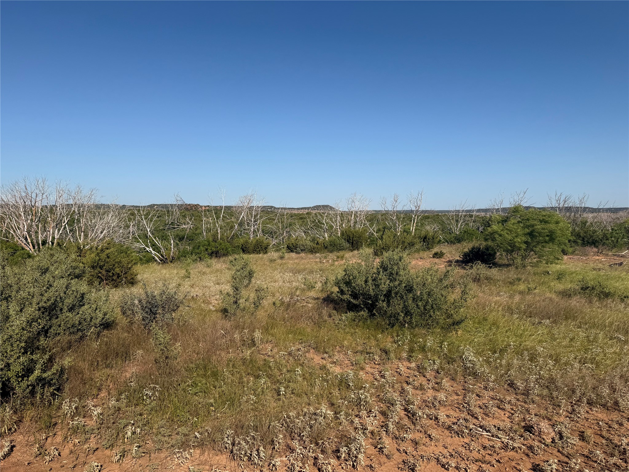 180 Acres Tbd Cr 343 Merkel TX 79536