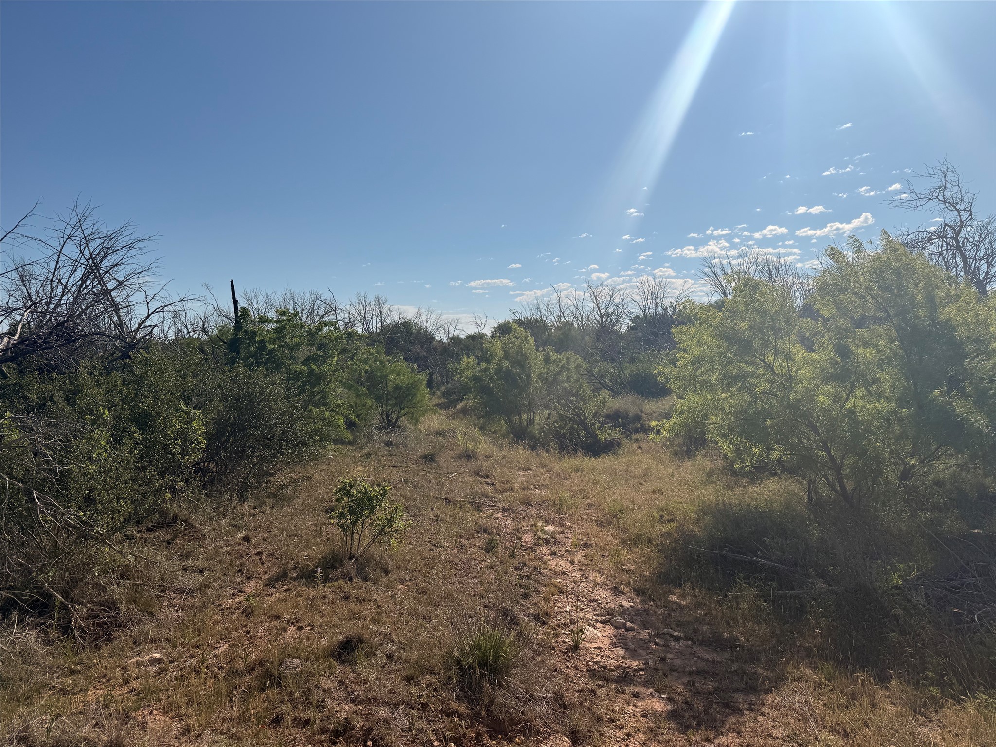 180 Acres Tbd Cr 343 Merkel TX 79536