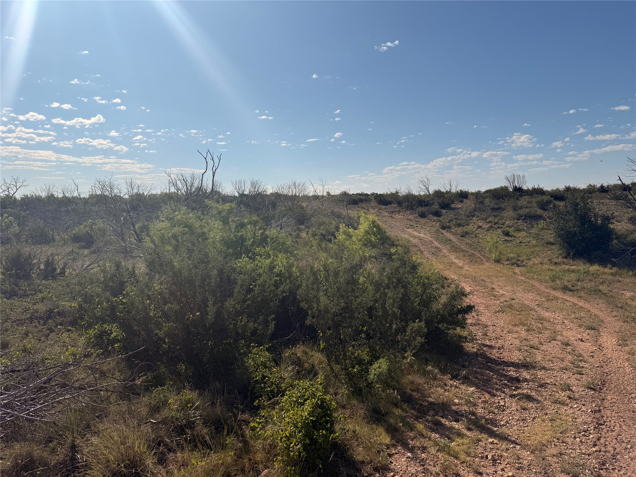 180 Acres Tbd Cr 343 Merkel TX 79536