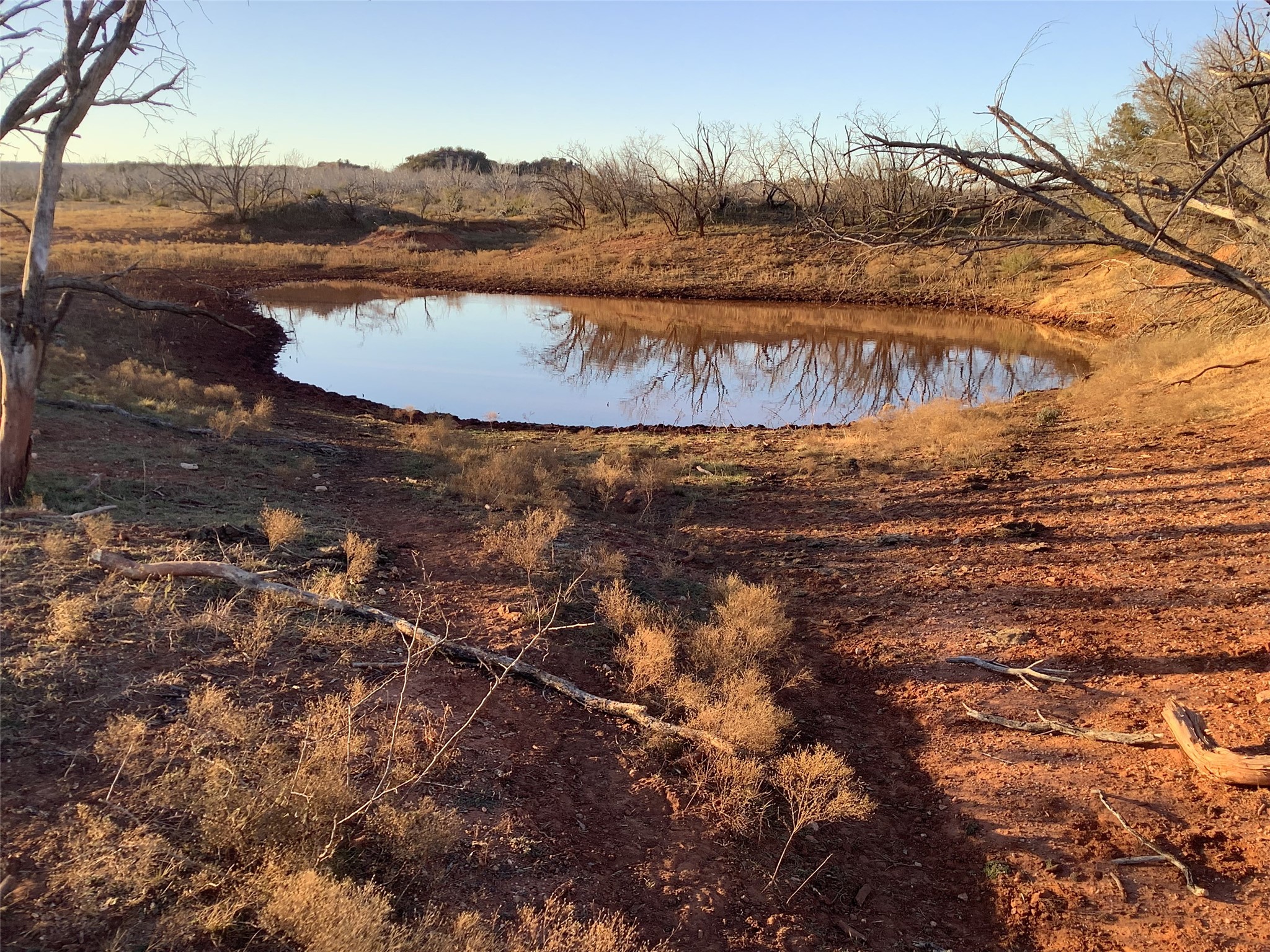 180 Acres Tbd Cr 343 Merkel TX 79536