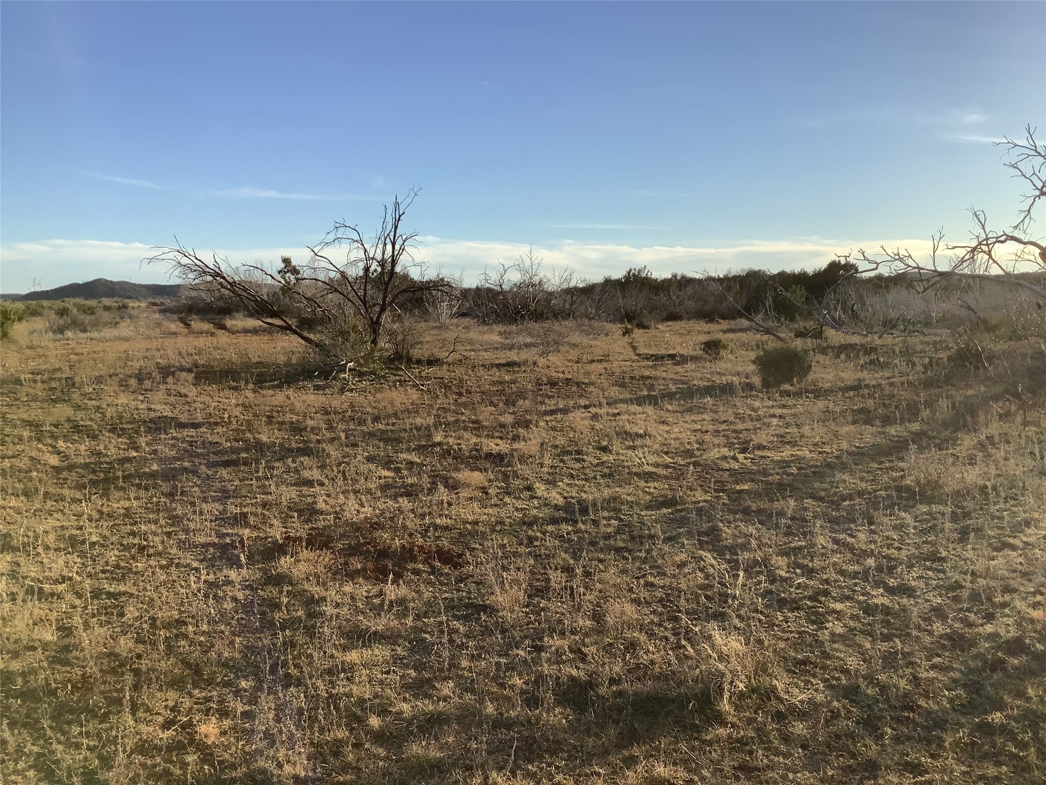 180 Acres Tbd Cr 343 Merkel TX 79536