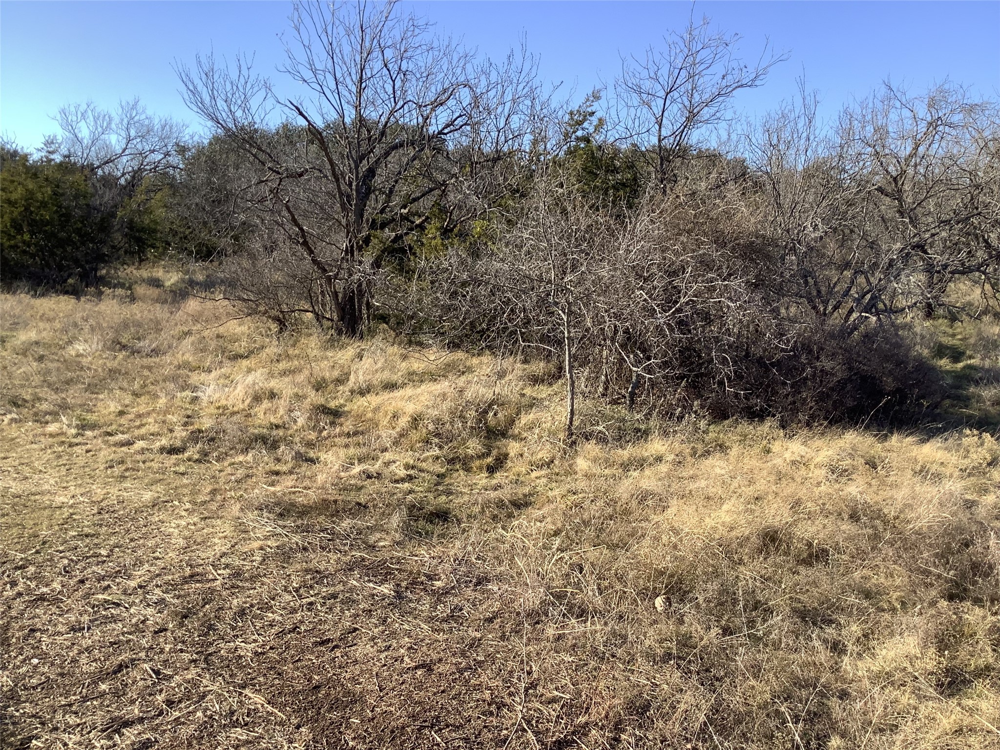 180 Acres Tbd Cr 343 Merkel TX 79536