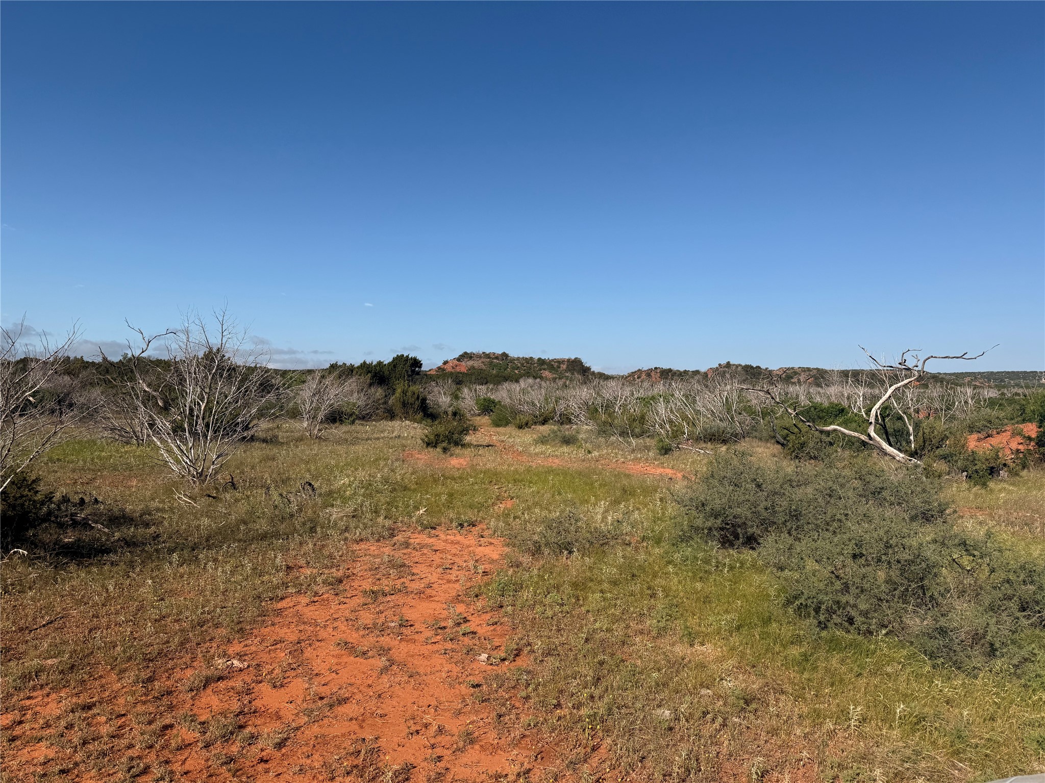 180 Acres Tbd Cr 343 Merkel TX 79536