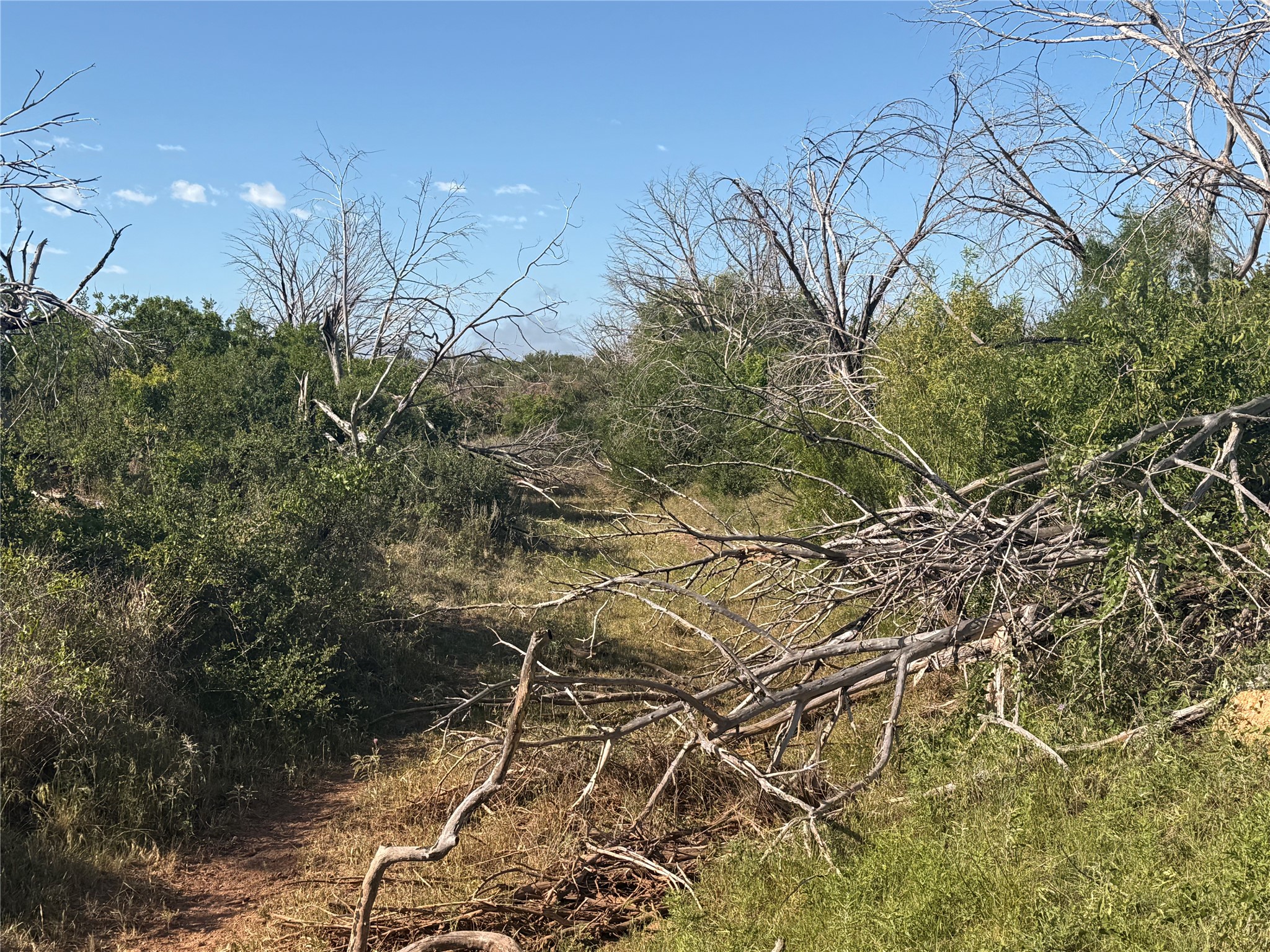 180 Acres Tbd Cr 343 Merkel TX 79536