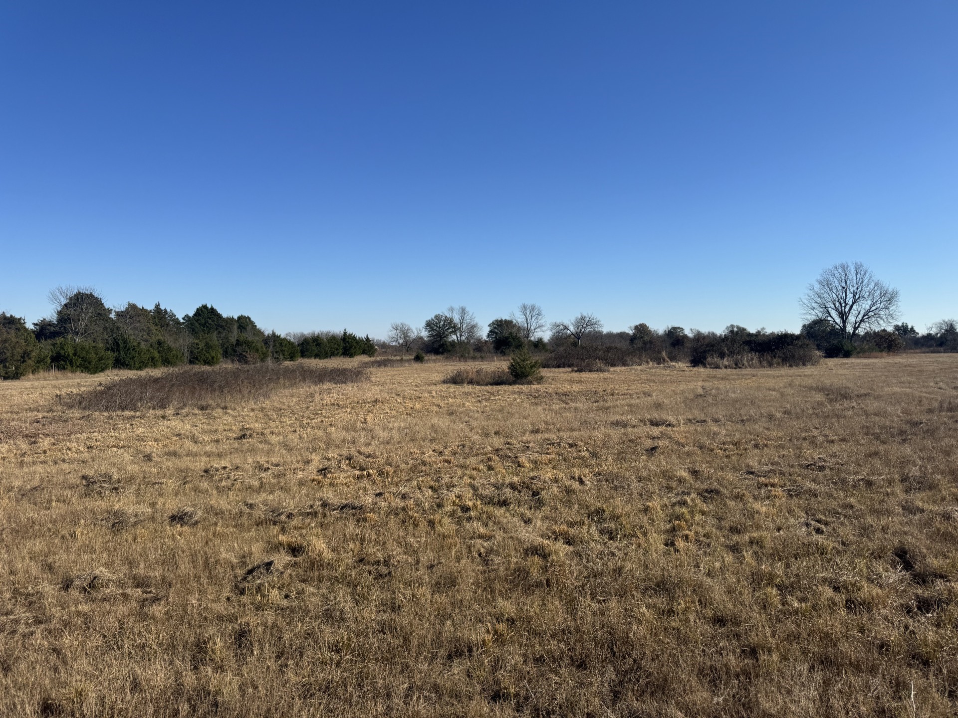 Tbd Tract 2 Fm 2675 Roxton TX 75477