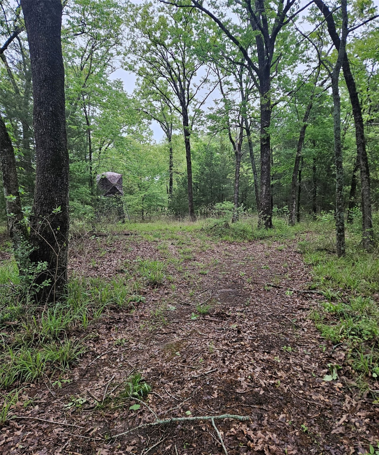 01 Private 5401 Road Malakoff TX 75148