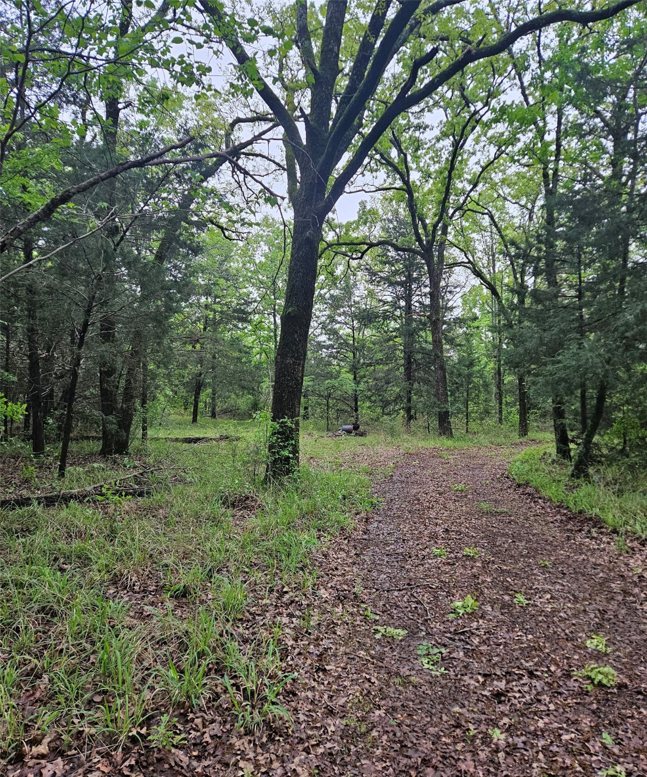 01 Private 5401 Road Malakoff TX 75148