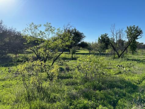 740 Downhaul Way Brownwood TX 76801