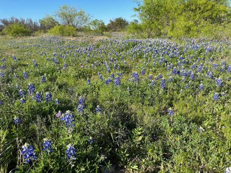 740 Downhaul Way Brownwood TX 76801