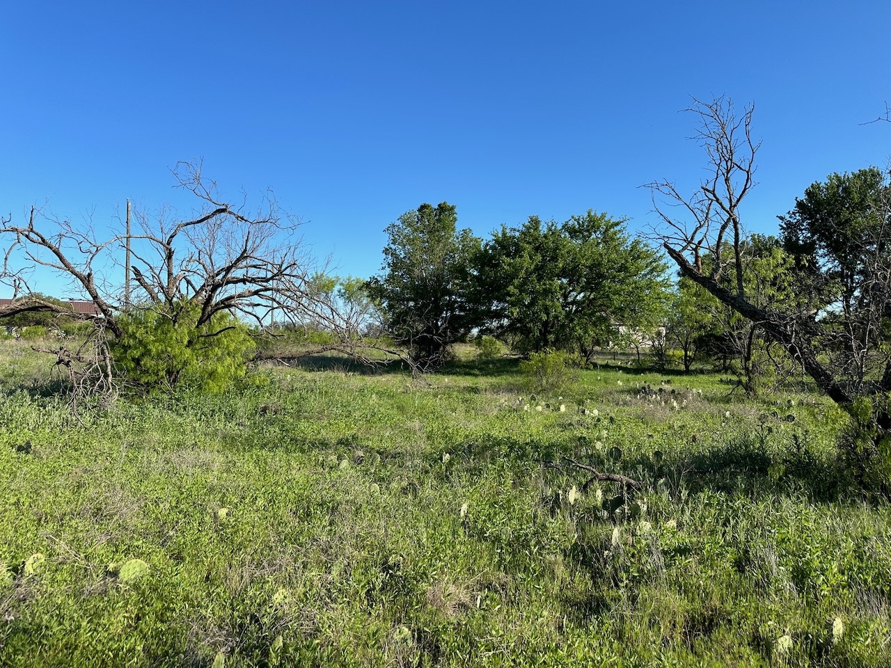 740 Downhaul Way Brownwood TX 76801
