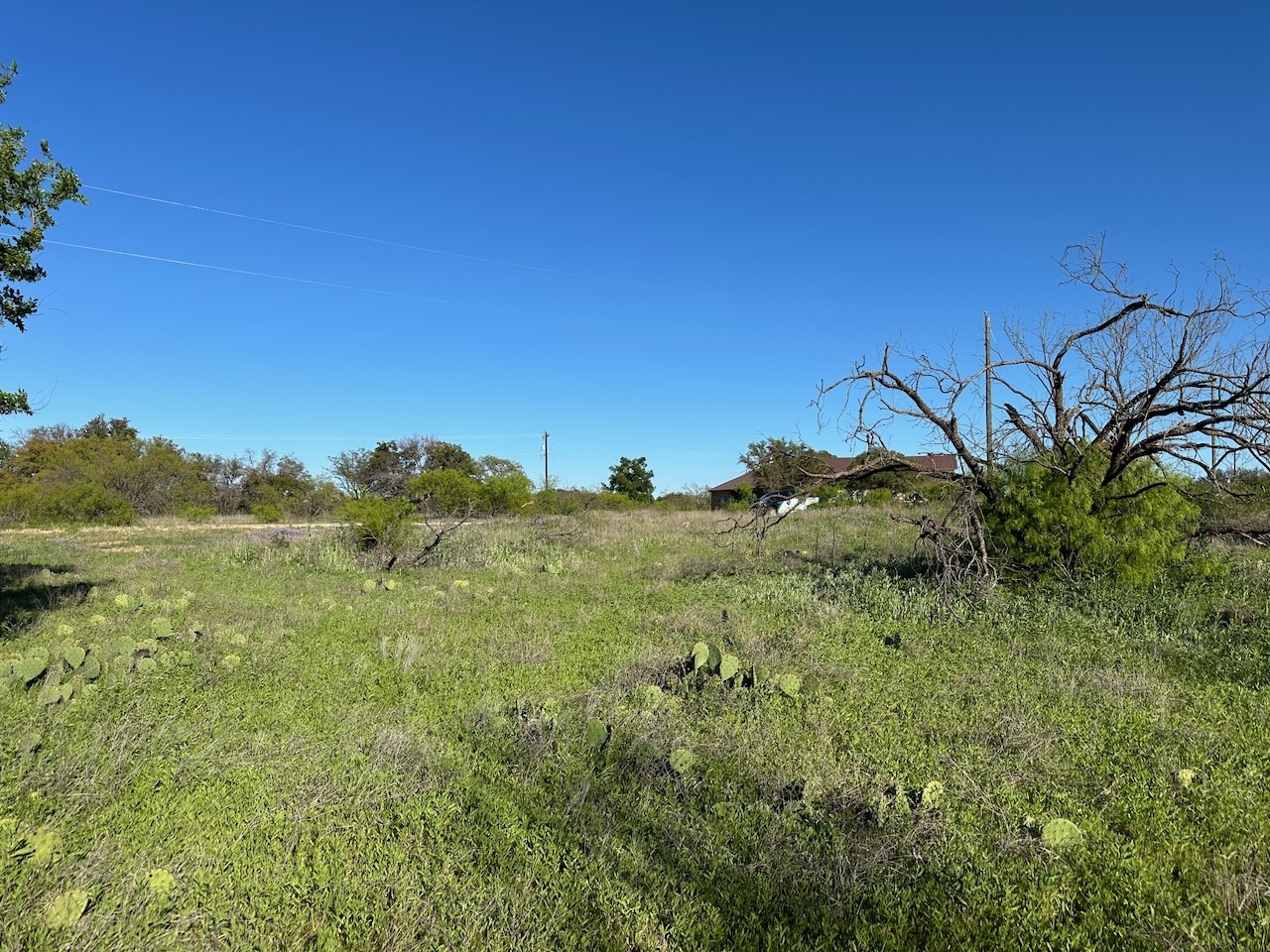 740 Downhaul Way Brownwood TX 76801