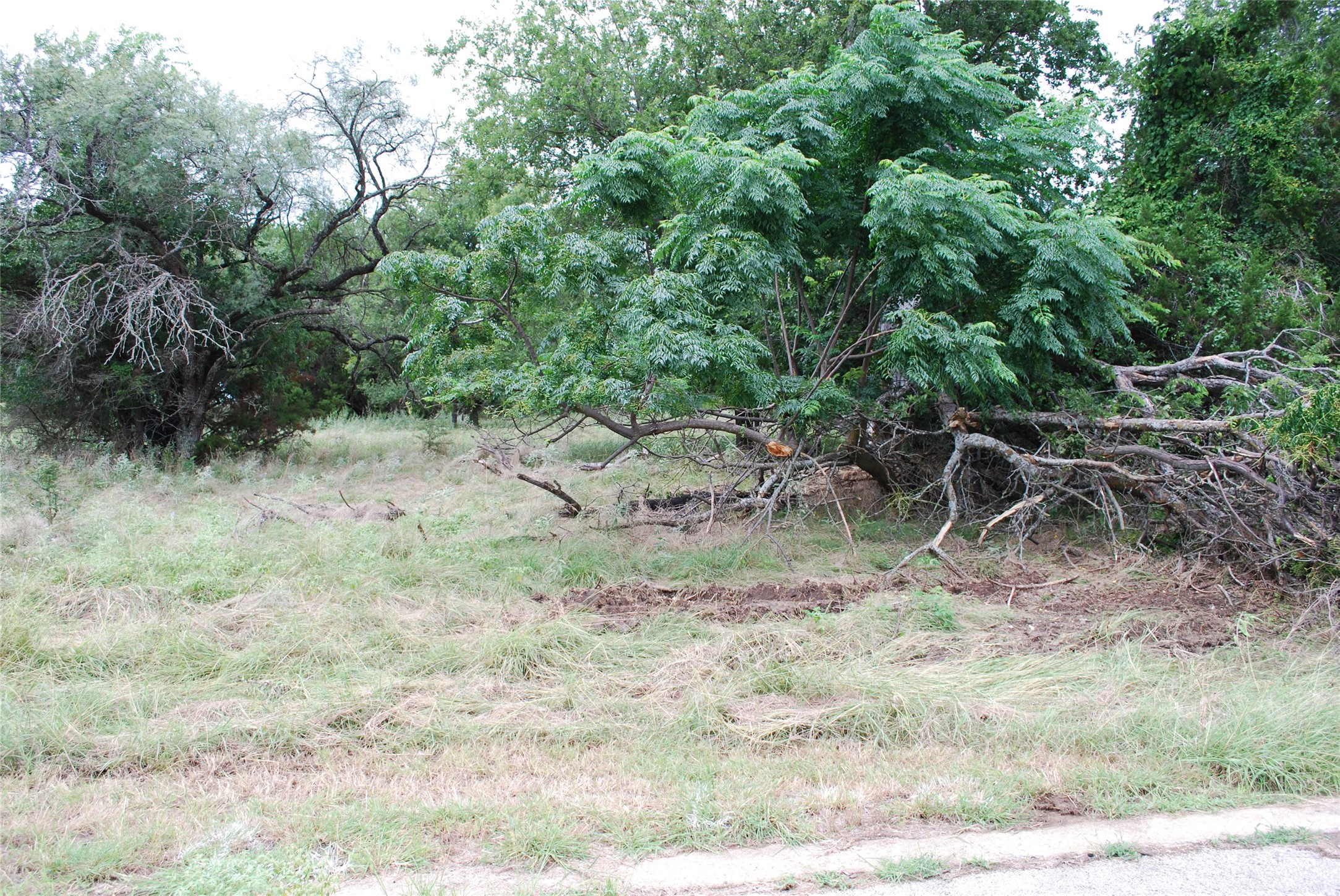 42158 Augusta Drive Whitney TX 76692