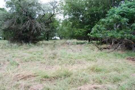 42158 Augusta Drive Whitney TX 76692