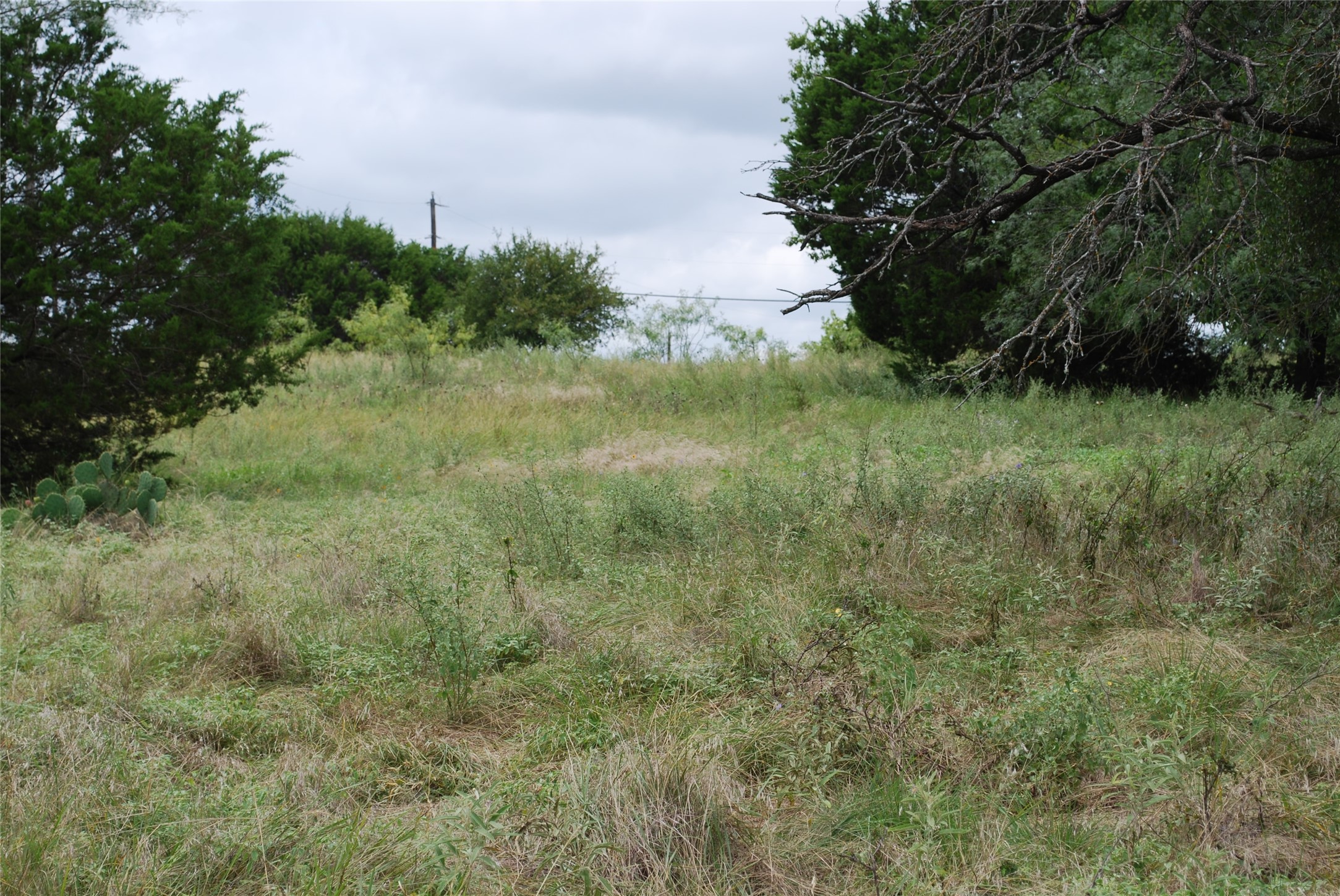 42158 Augusta Drive Whitney TX 76692