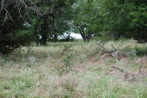 42158 Augusta Drive Whitney TX 76692