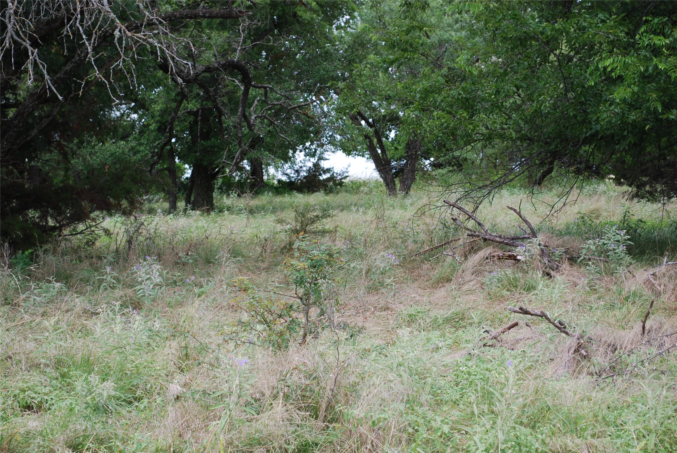 42158 Augusta Drive Whitney TX 76692