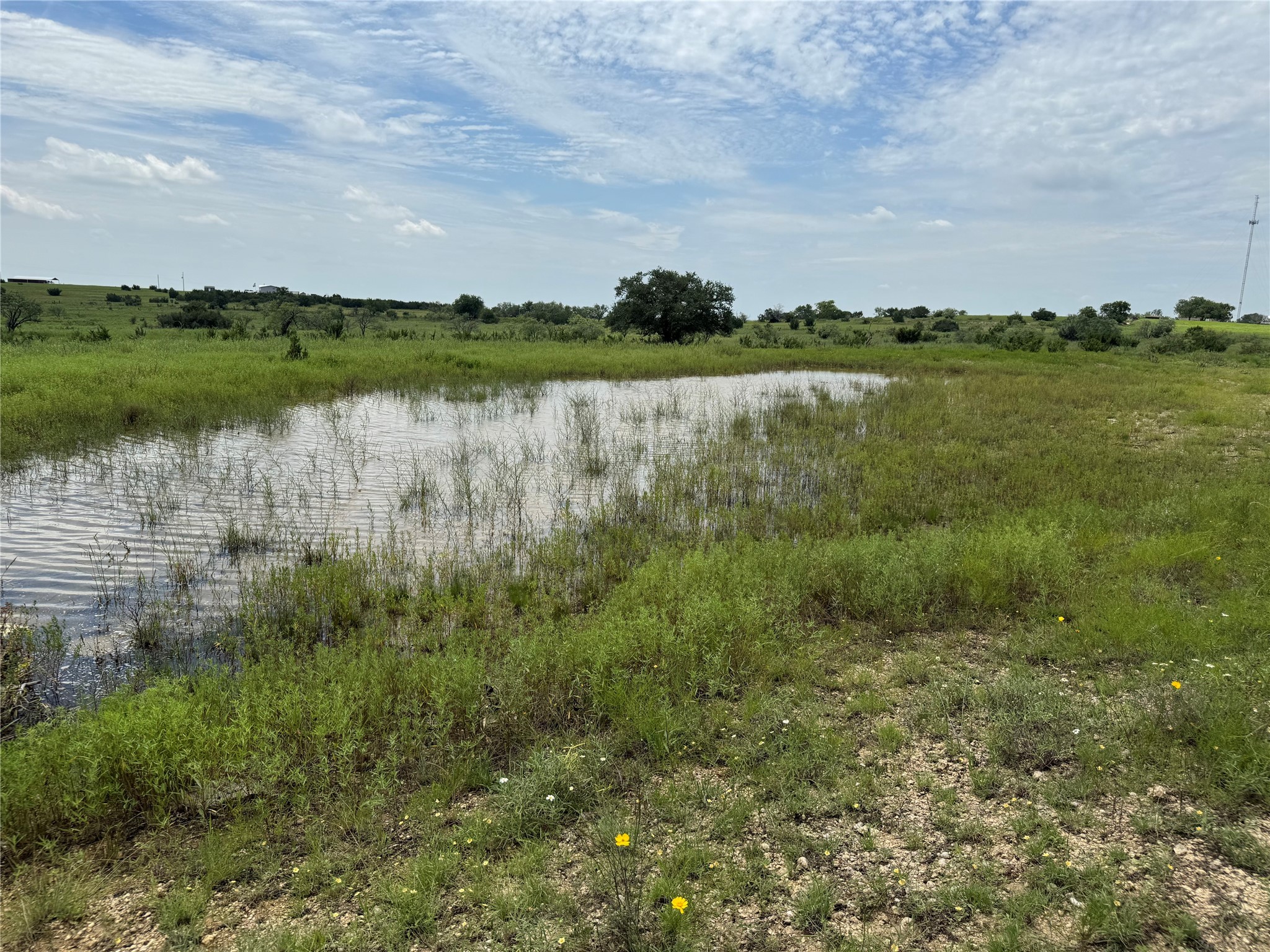 13130 Us Highway 281 Highway Hico TX 76457