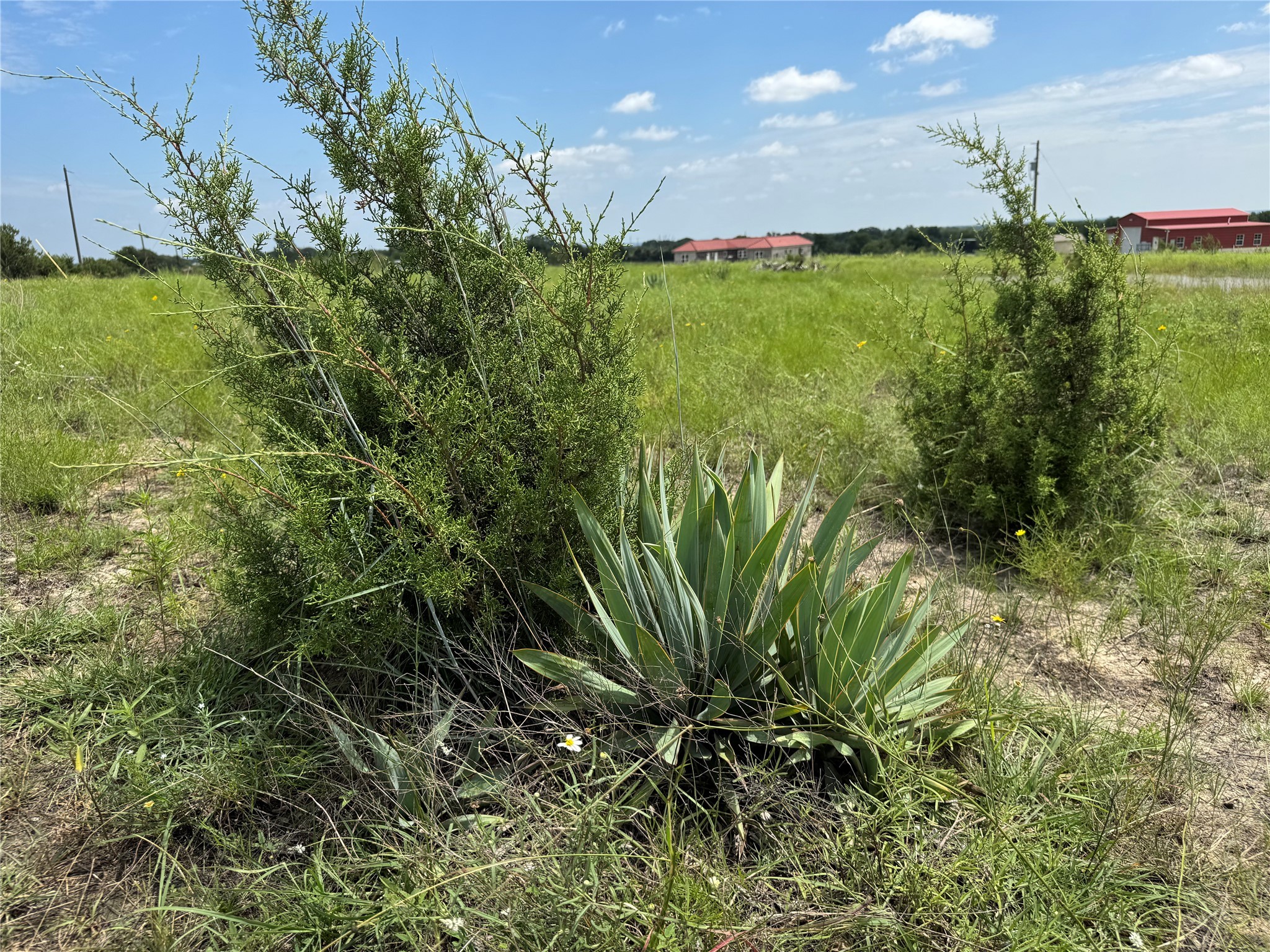 13130 Us Highway 281 Highway Hico TX 76457