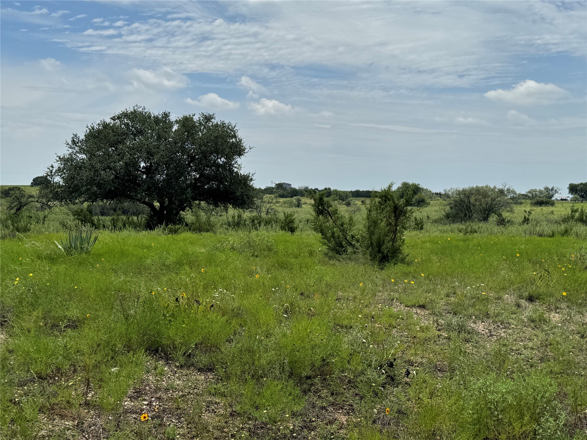 13130 Us Highway 281 Highway Hico TX 76457