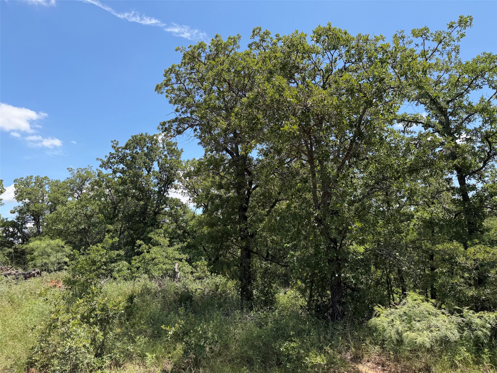 0000 Rux Road Newcastle TX 76372