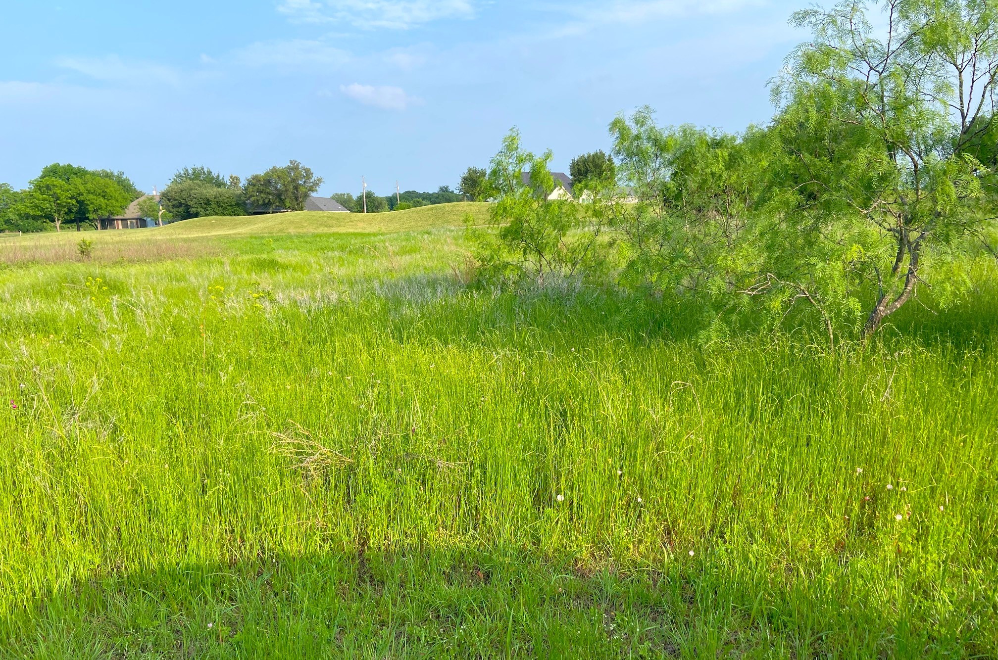 23134 Greenbriar Drive Whitney TX 76692