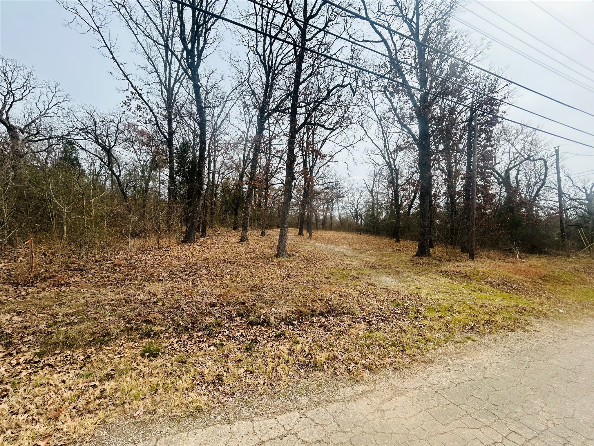 5226 Tom Hickman Lane Log Cabin TX 75148