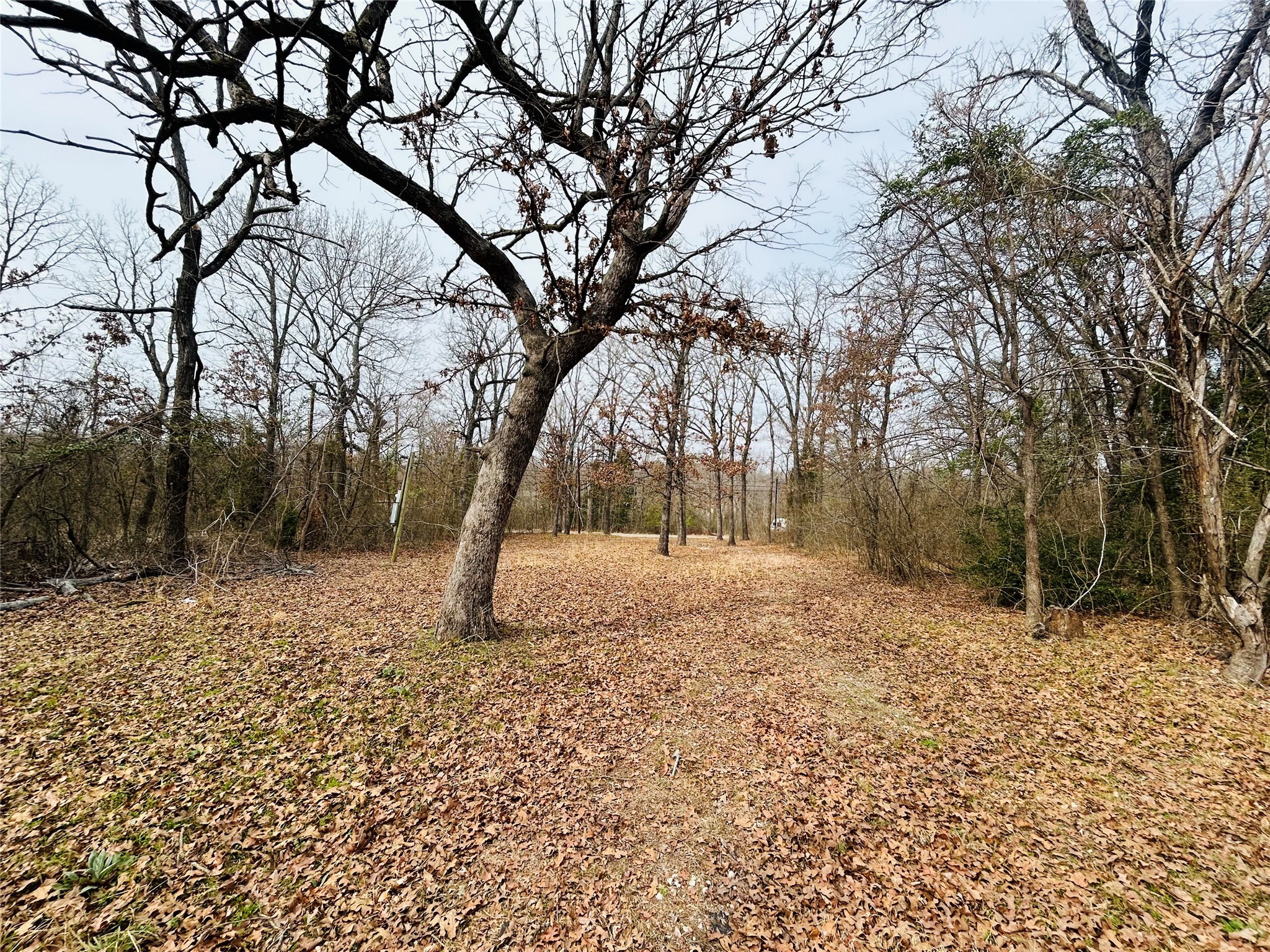 5226 Tom Hickman Lane Log Cabin TX 75148