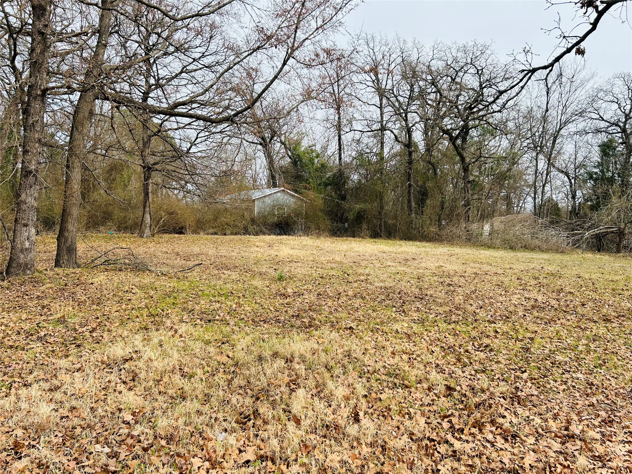 5226 Tom Hickman Lane Log Cabin TX 75148