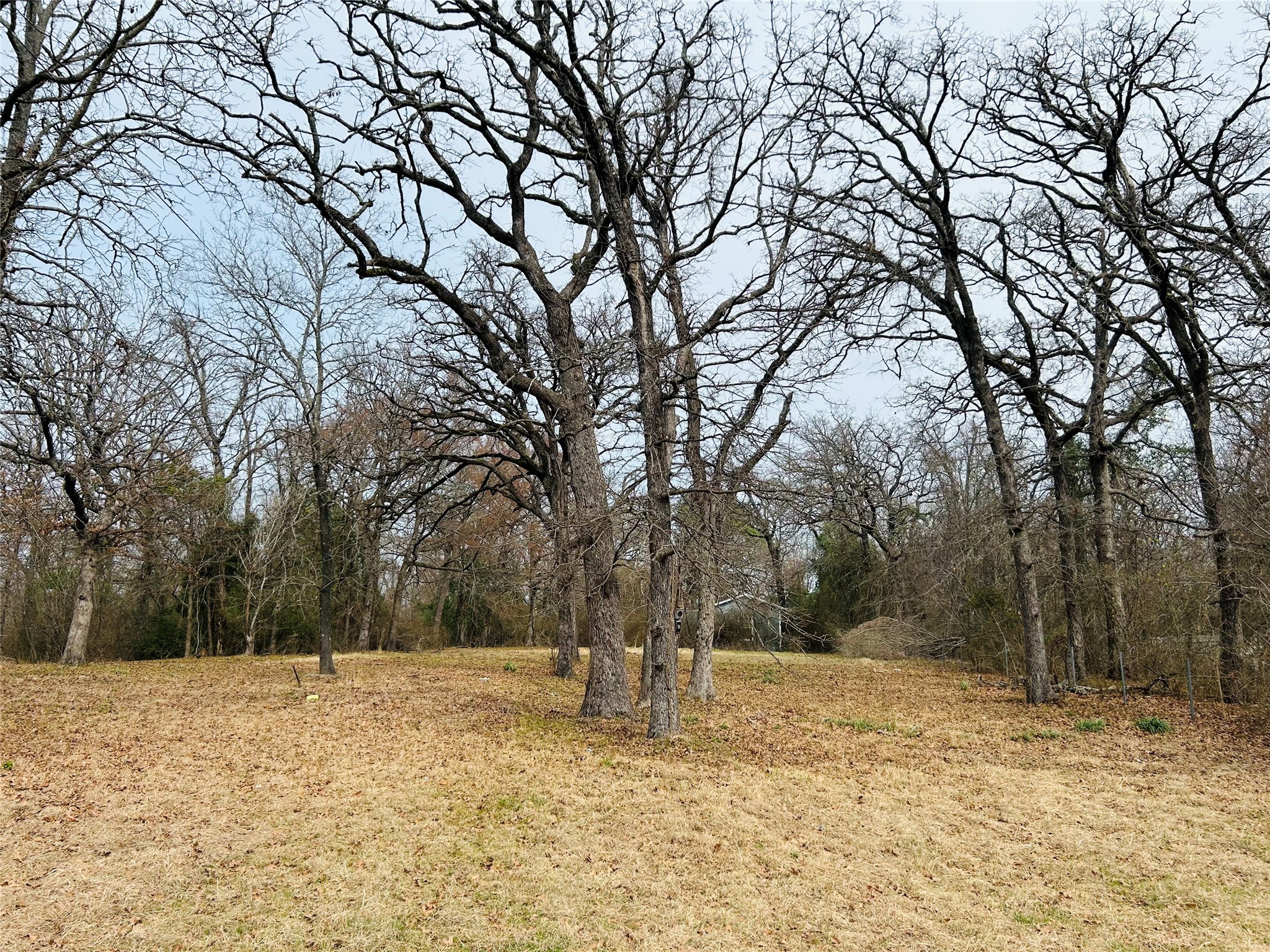 5226 Tom Hickman Lane Log Cabin TX 75148