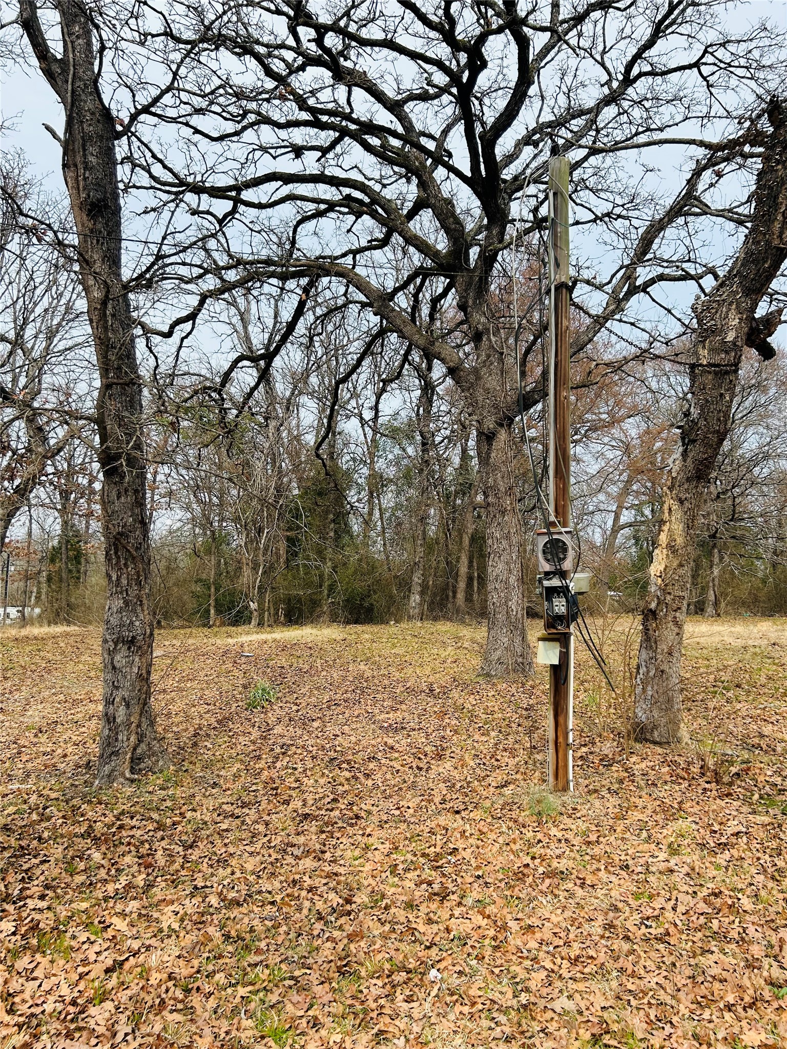 5226 Tom Hickman Lane Log Cabin TX 75148