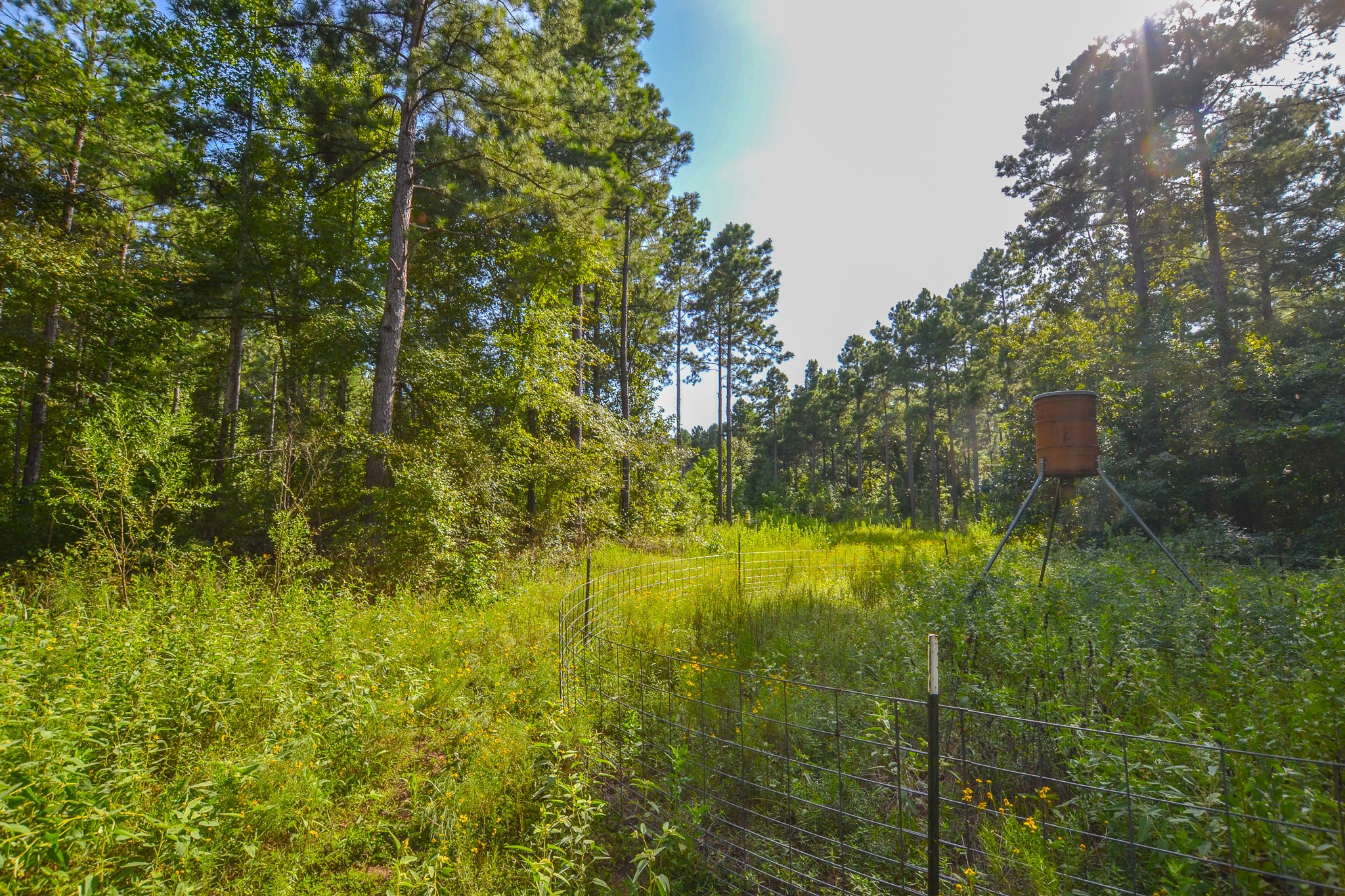 Tract 17 County Road 4224 Frankston TX 75763