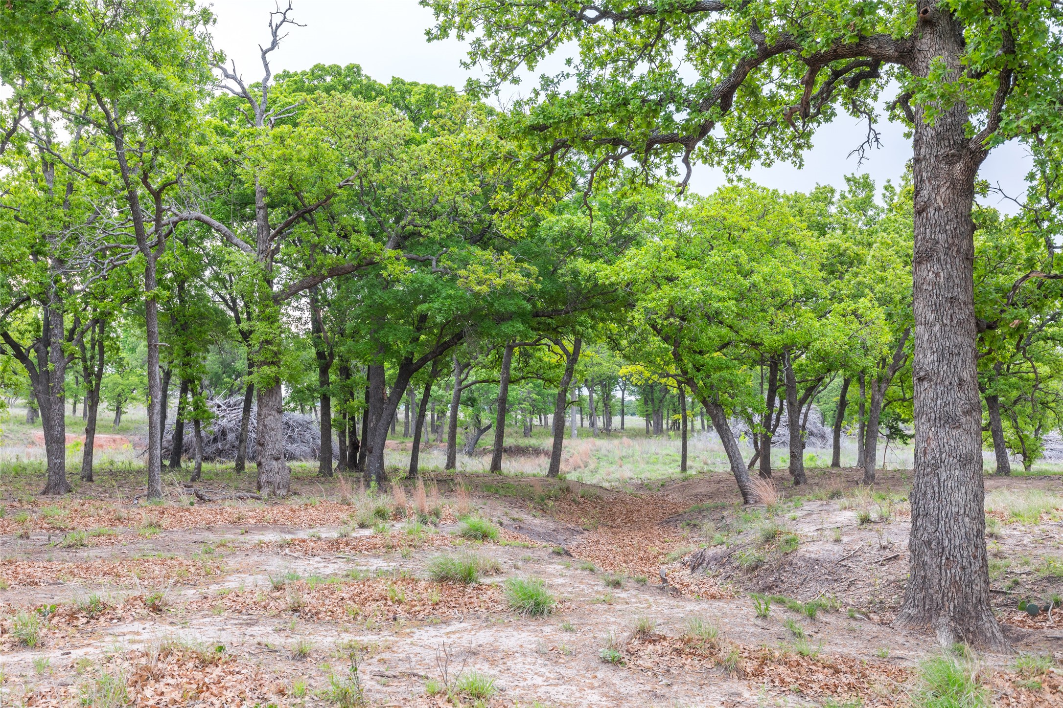1034 County Road 207 Ovalo TX 79541