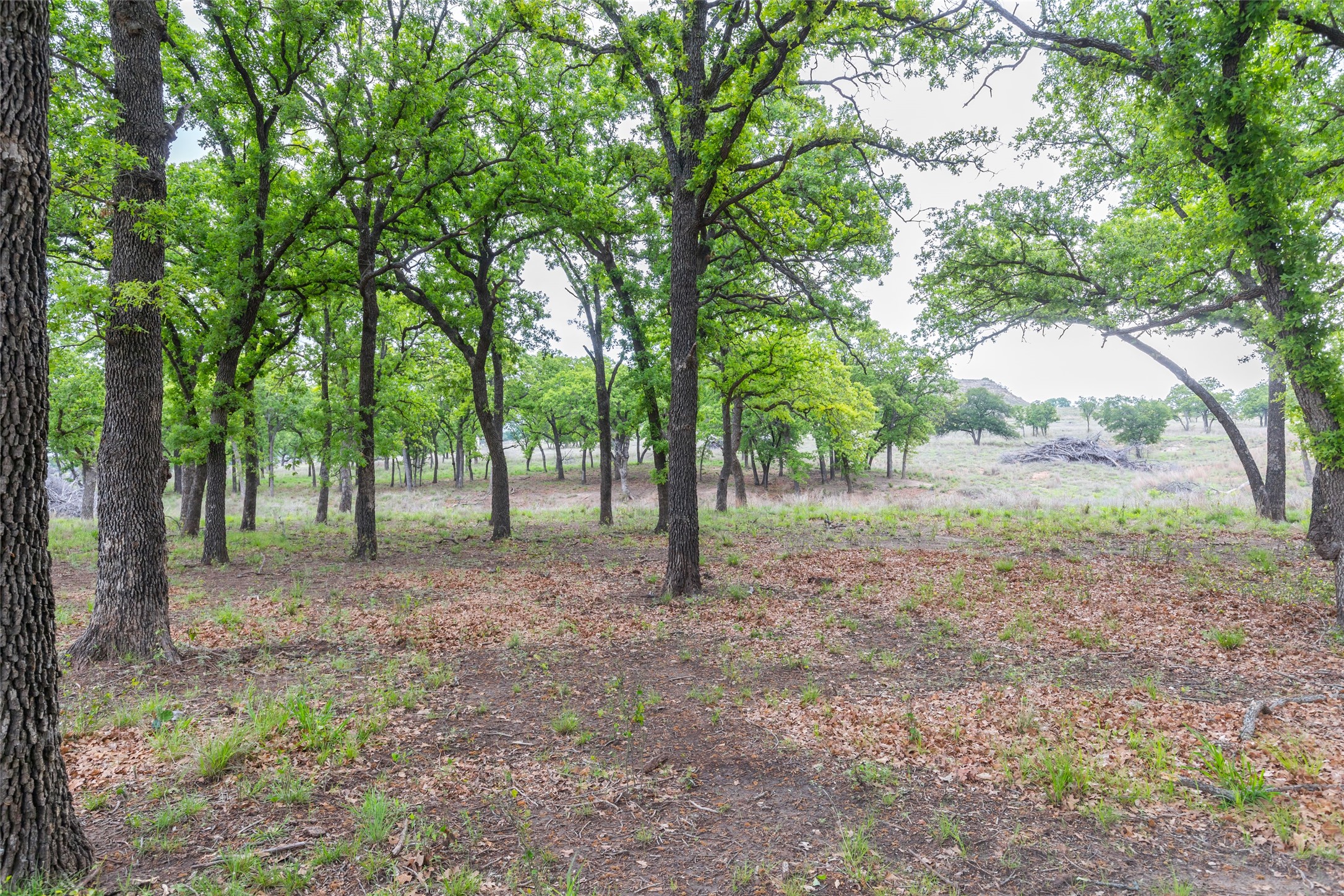 1034 County Road 207 Ovalo TX 79541