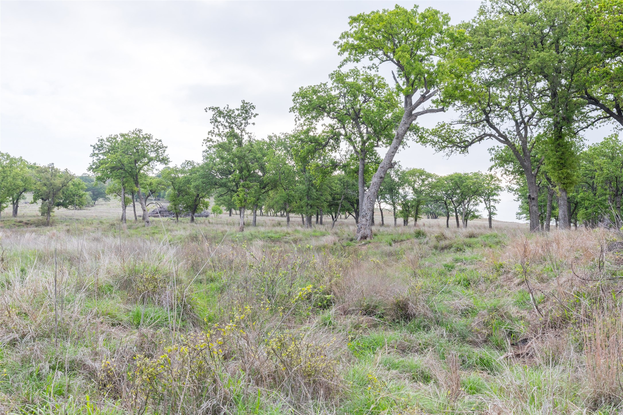 1034 County Road 207 Ovalo TX 79541