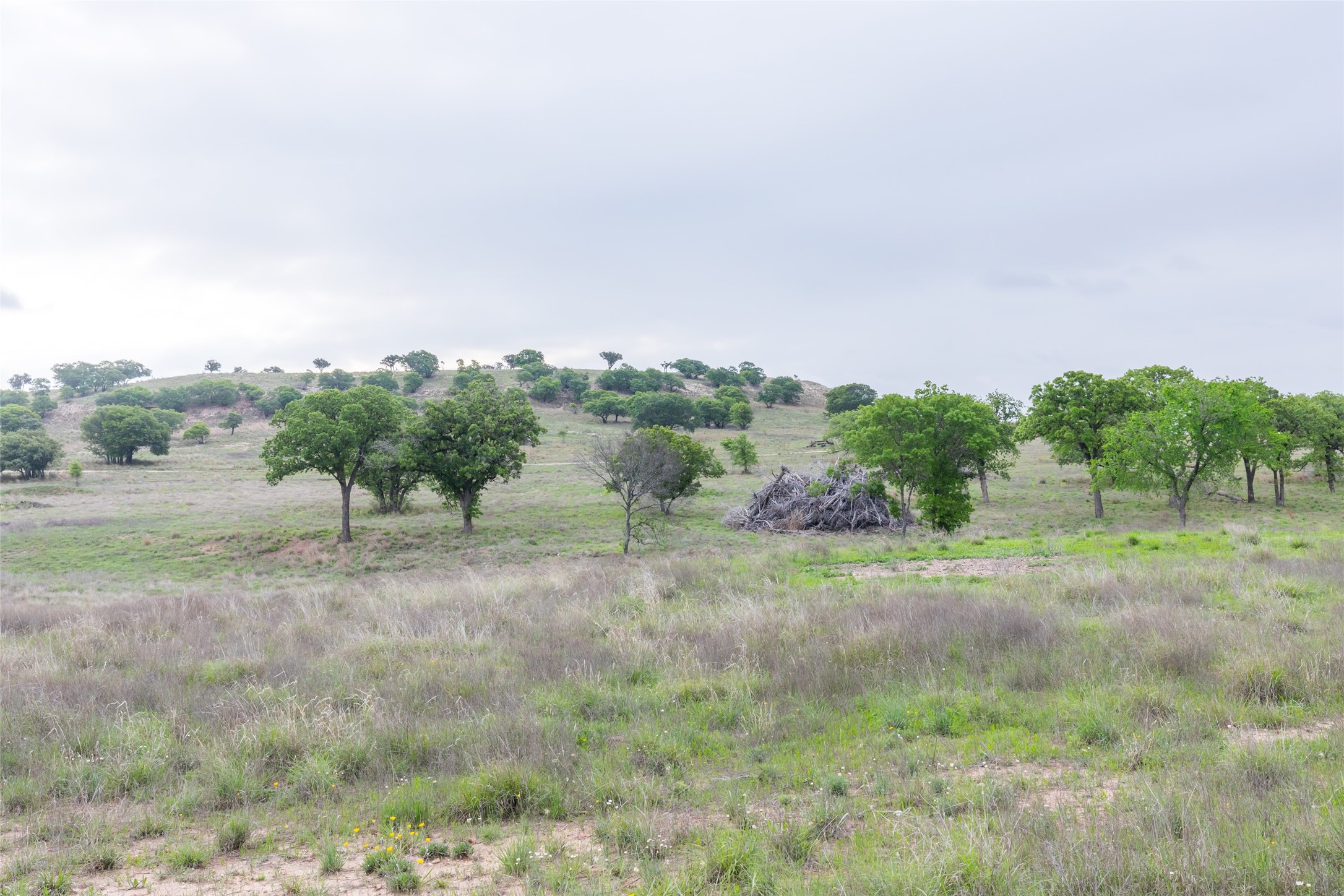 1034 County Road 207 Ovalo TX 79541