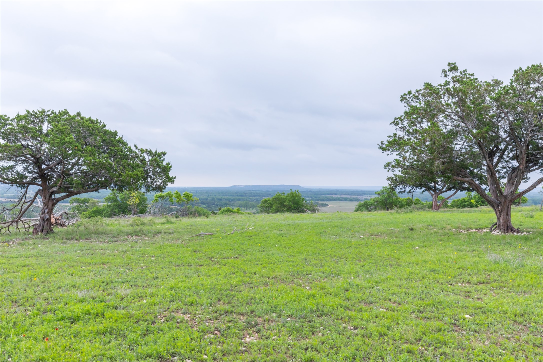 1034 County Road 207 Ovalo TX 79541