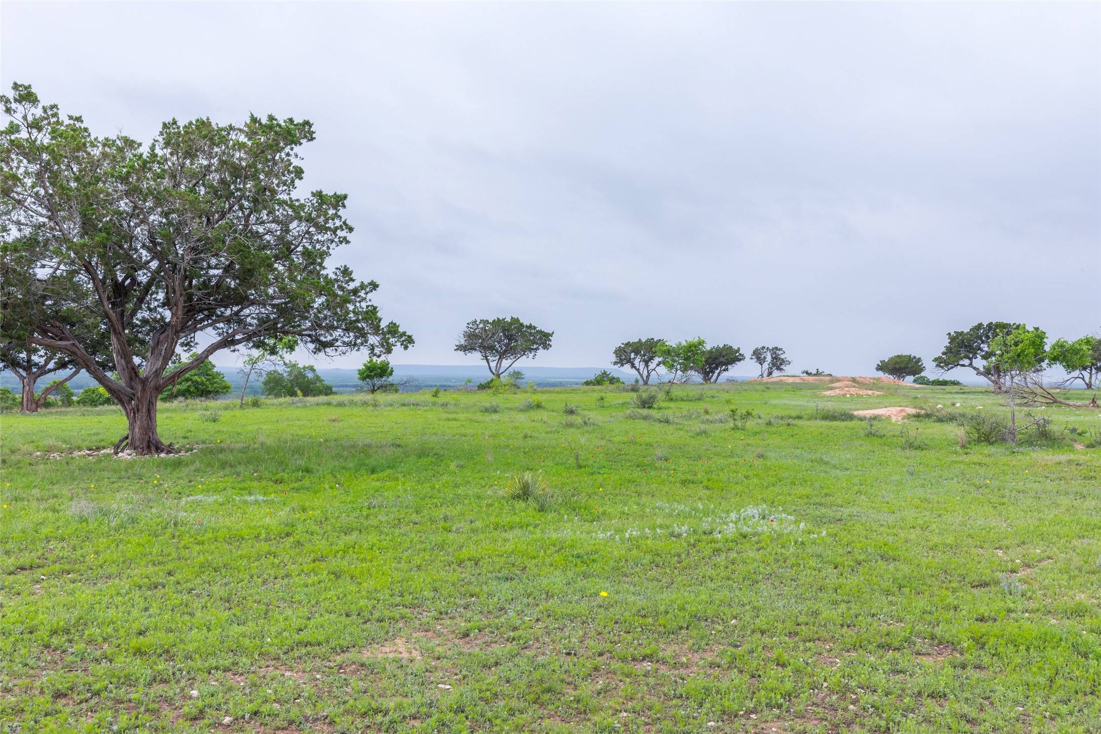 1034 County Road 207 Ovalo TX 79541
