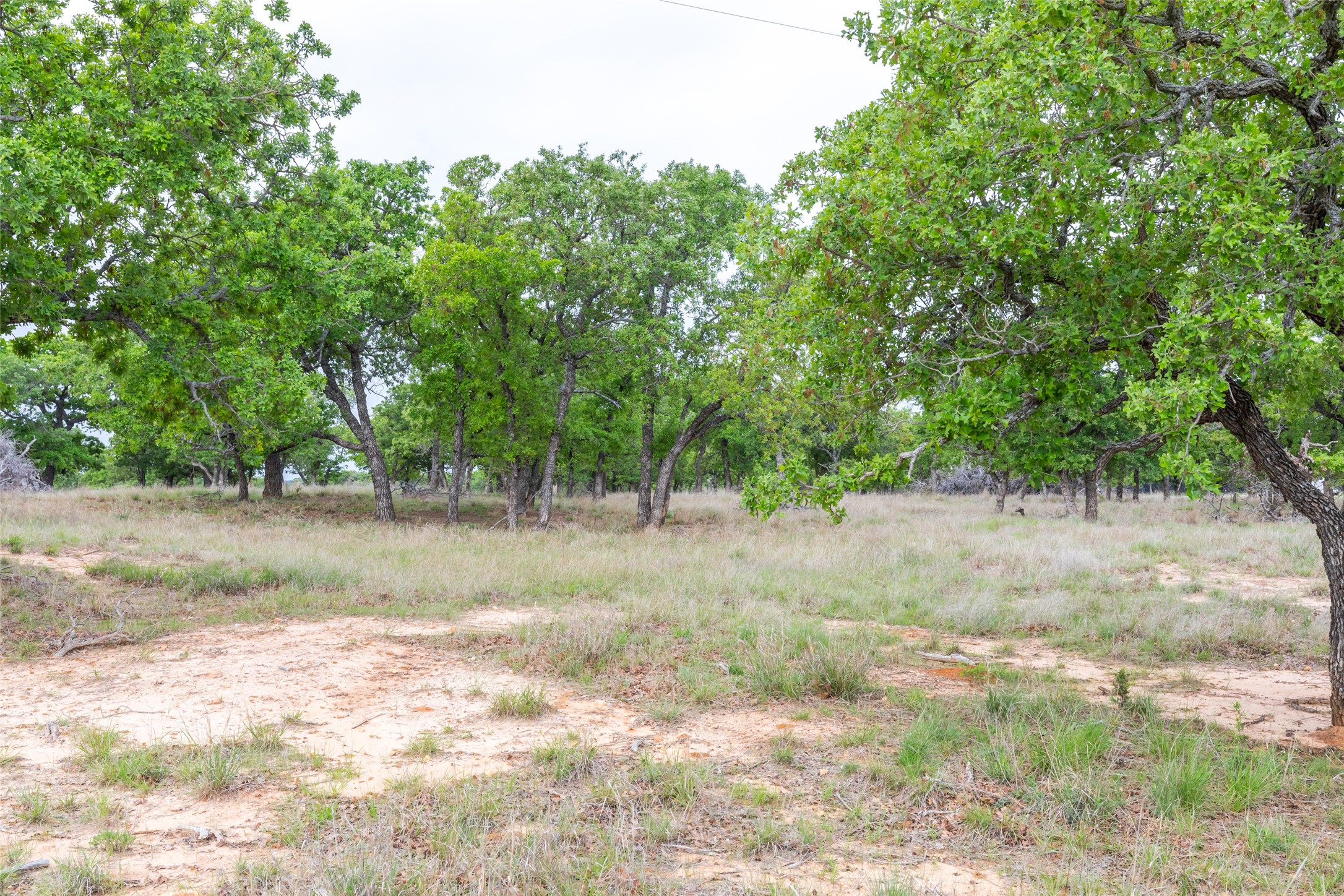 1034 County Road 207 Ovalo TX 79541