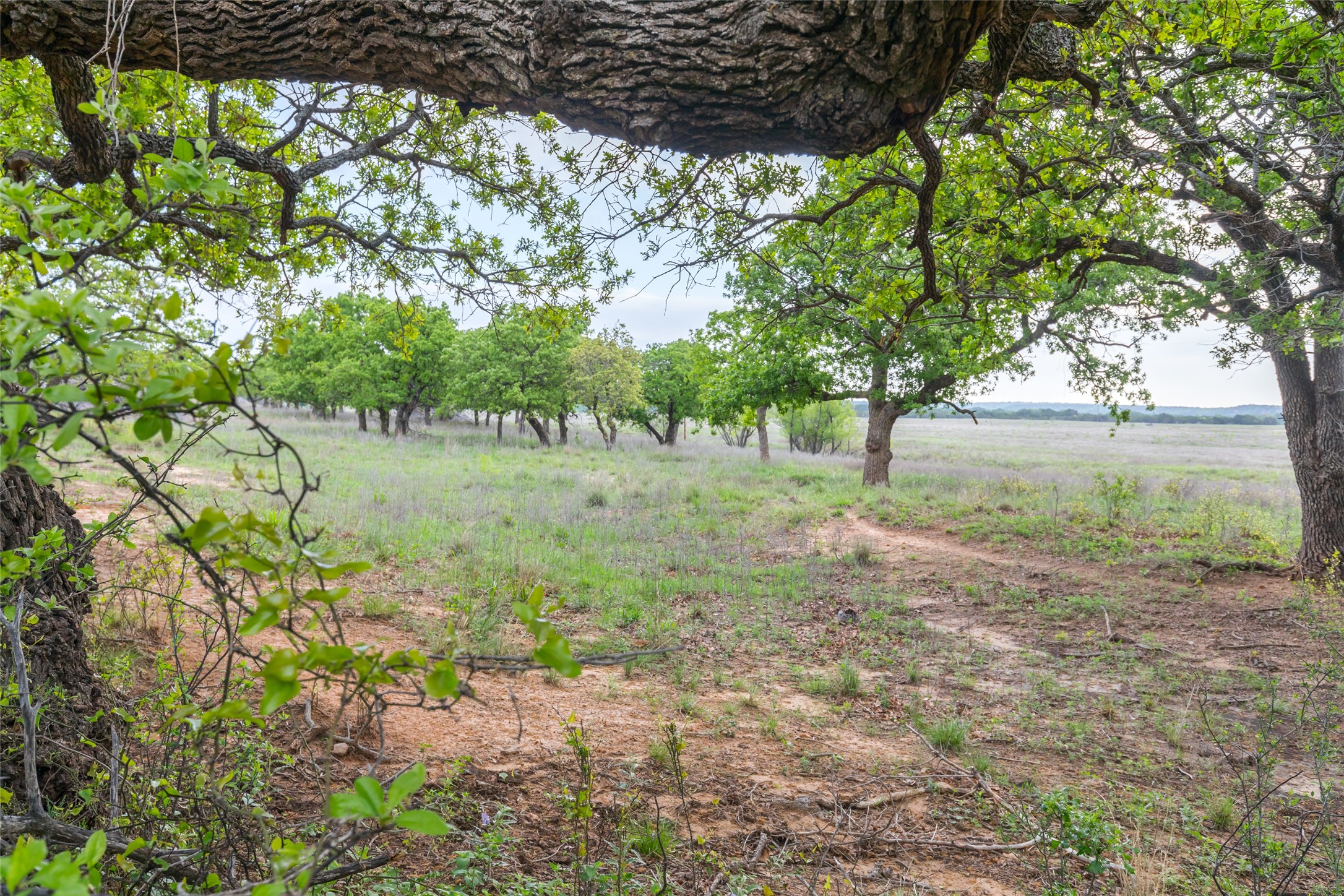 1034 County Road 207 Ovalo TX 79541