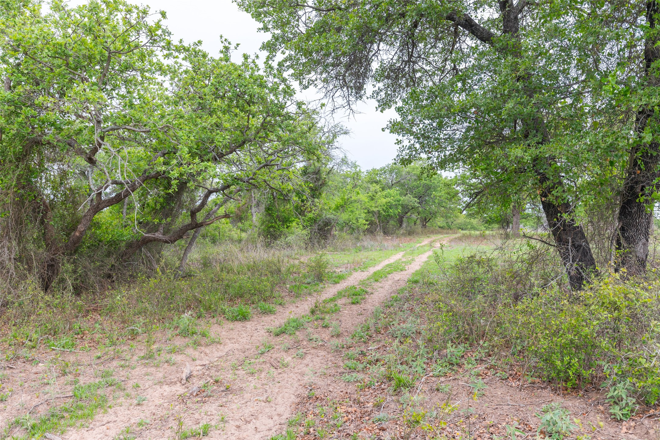 1034 County Road 207 Ovalo TX 79541