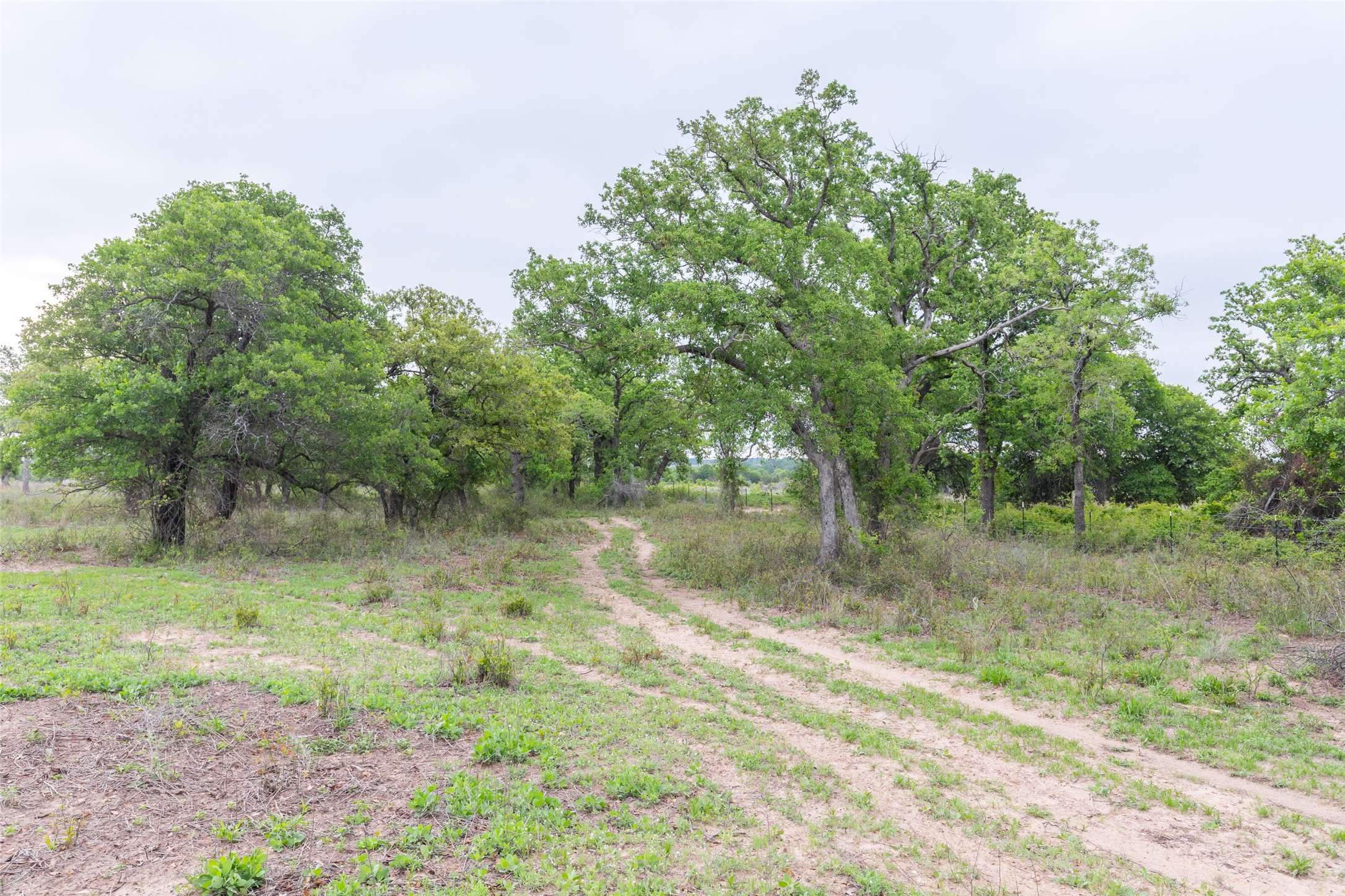 1034 County Road 207 Ovalo TX 79541