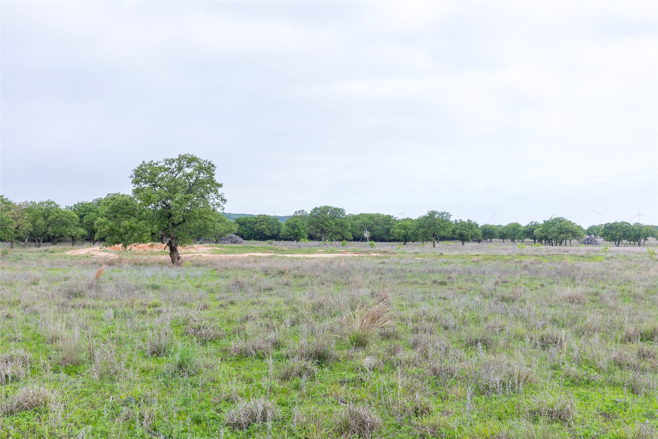 1034 County Road 207 Ovalo TX 79541