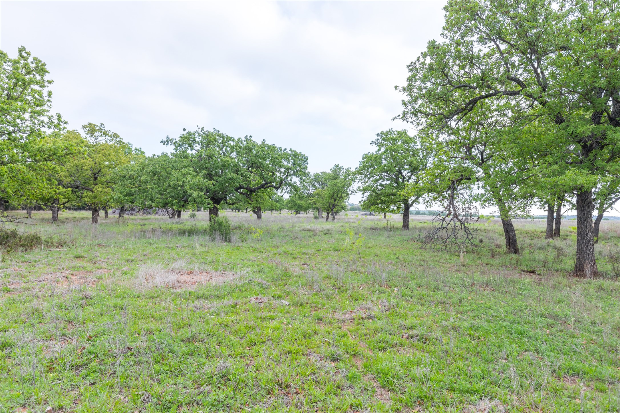 1034 County Road 207 Ovalo TX 79541