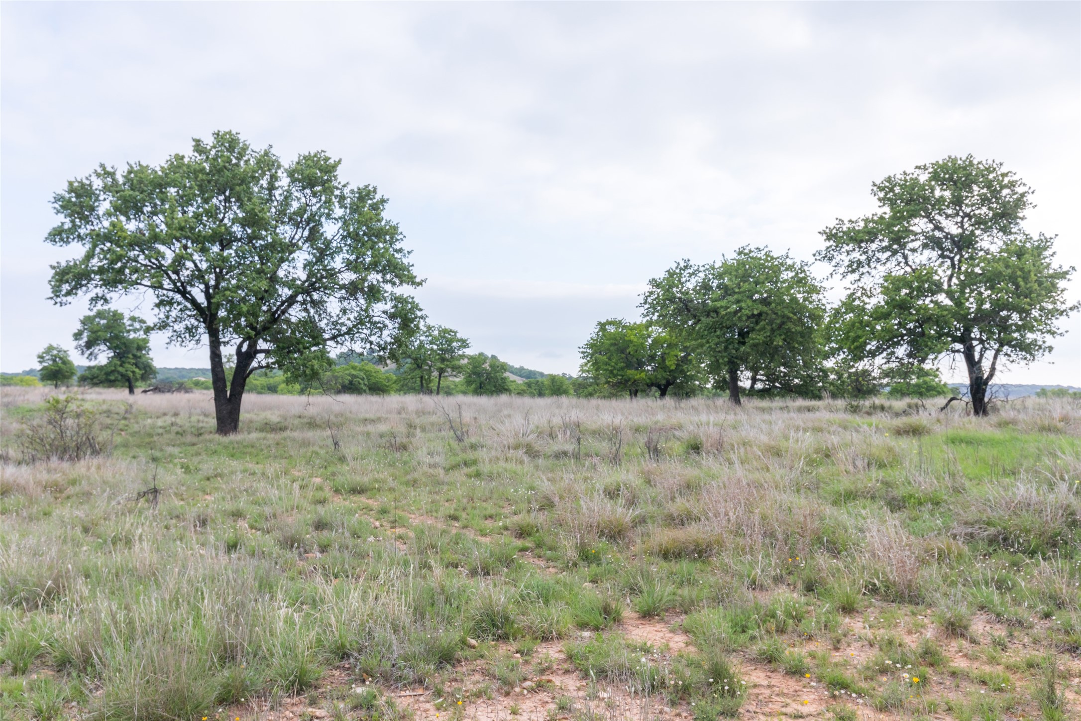 1034 County Road 207 Ovalo TX 79541