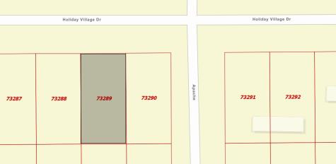295 Holiday Villliage Drive Quitman TX 75783