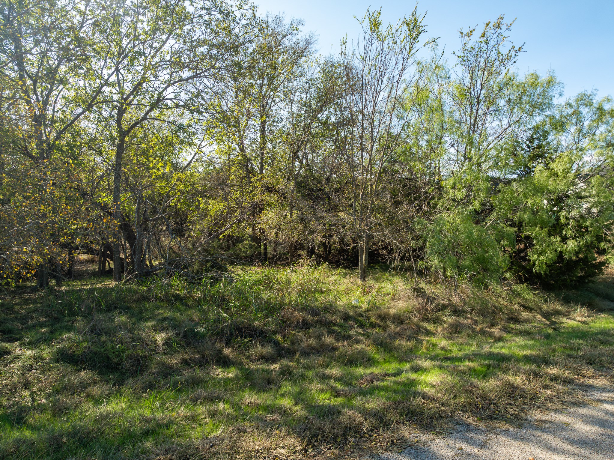 17134 Woodlawn Drive Whitney TX 76692